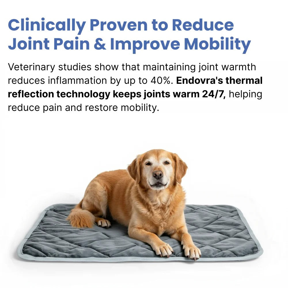 STOP JOINT HEAT LOSS – RESTORE MOBILITY & COMFORT!